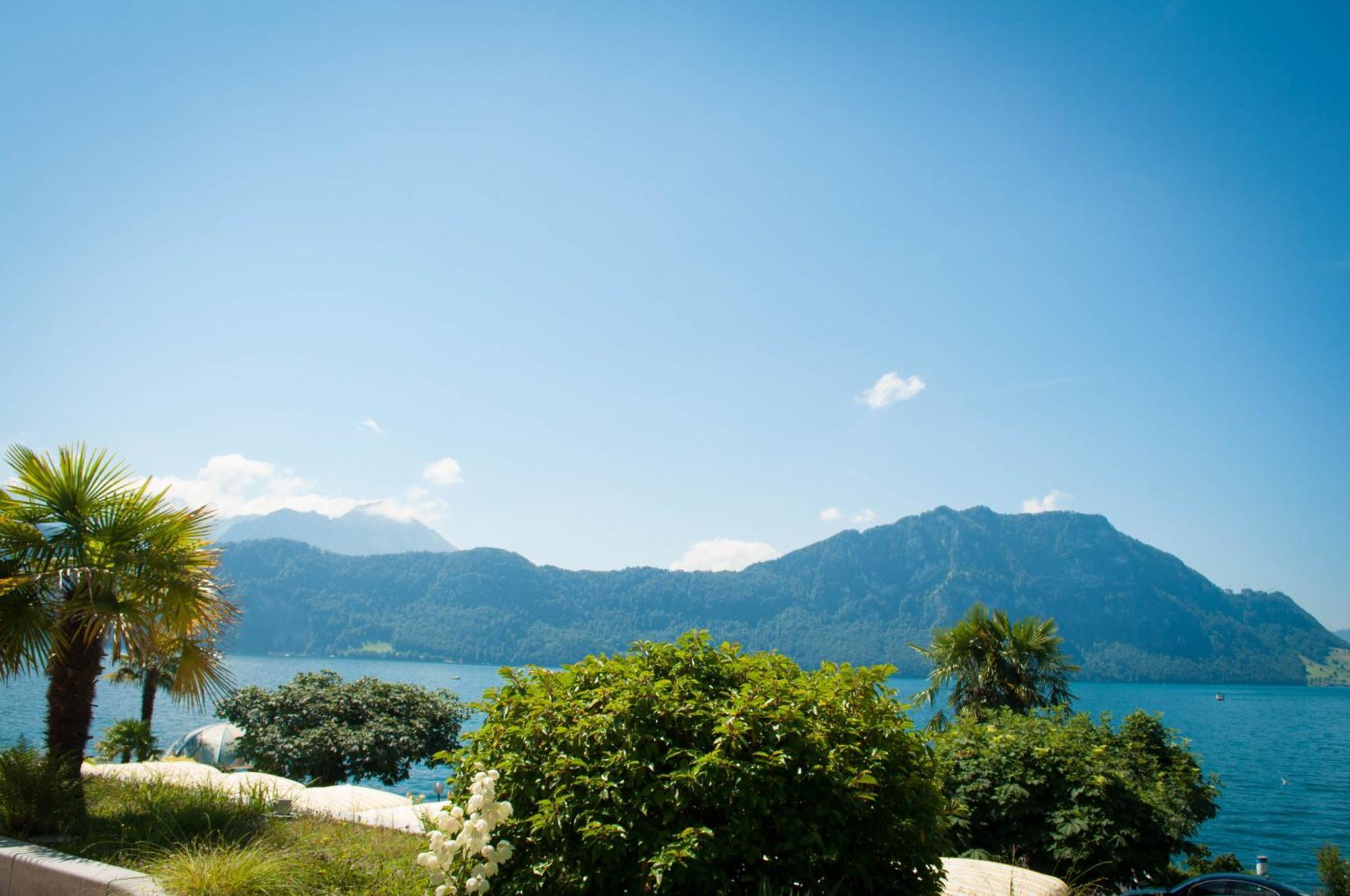 Single Room Lake View